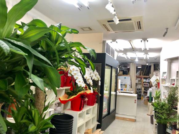 「丸の内フローラ」　（愛知県名古屋市中区）の花屋店舗写真2